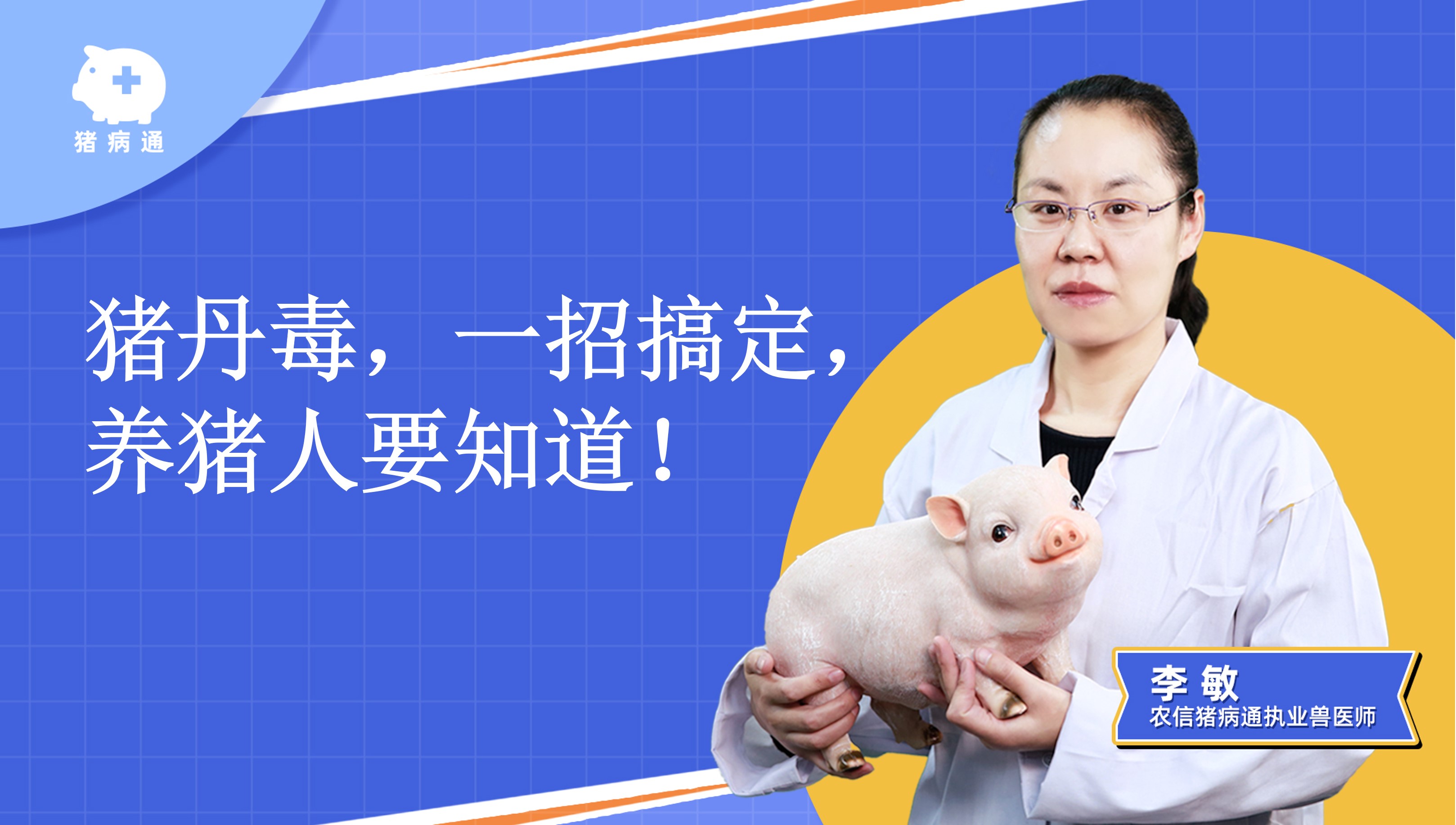 看猪病,就来猪病通