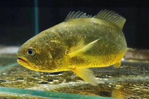 U8国际- U8国际官方网站- U8体育APP下载30平方米的房子有多大