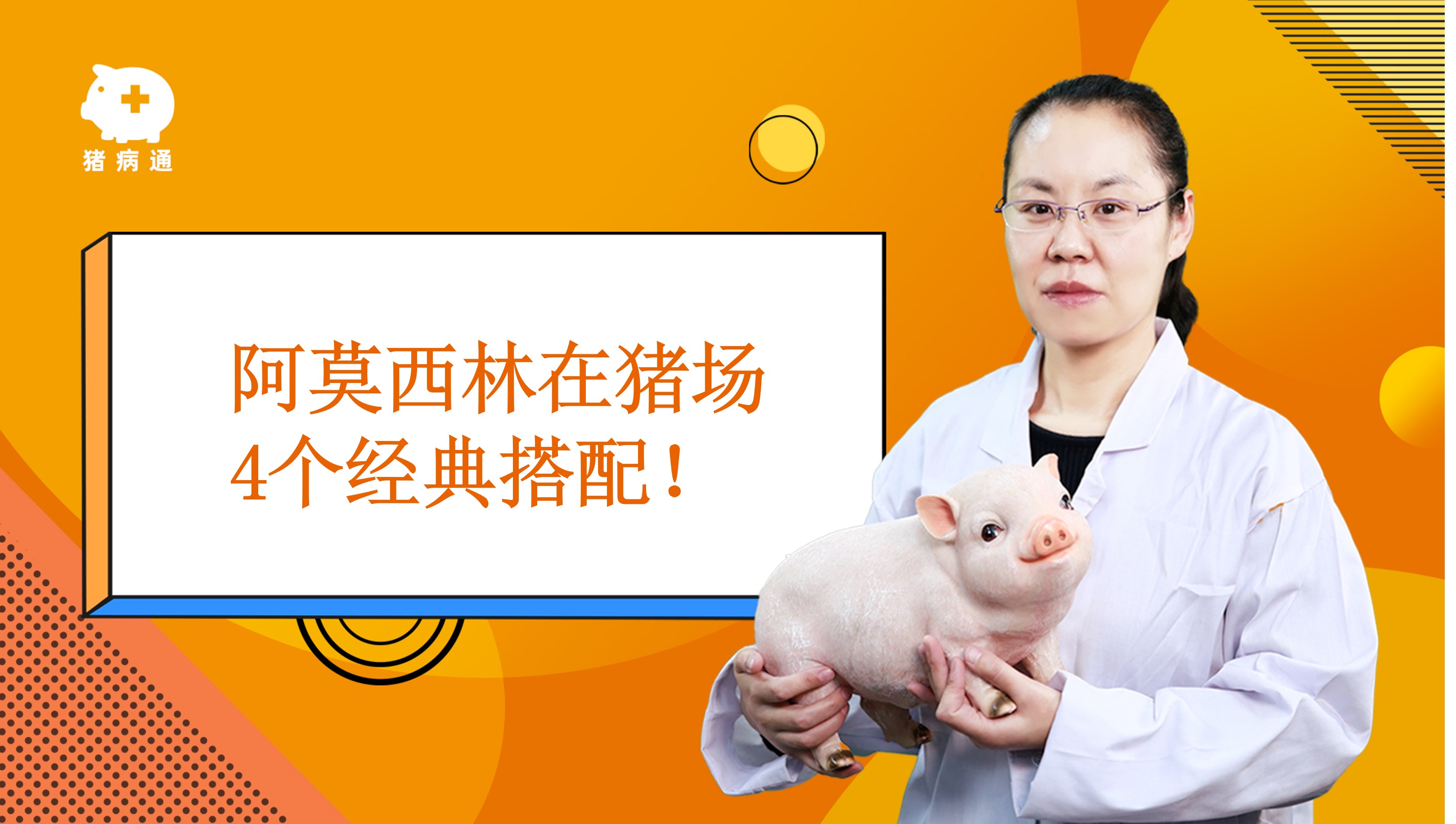 学养猪,就来猪病通